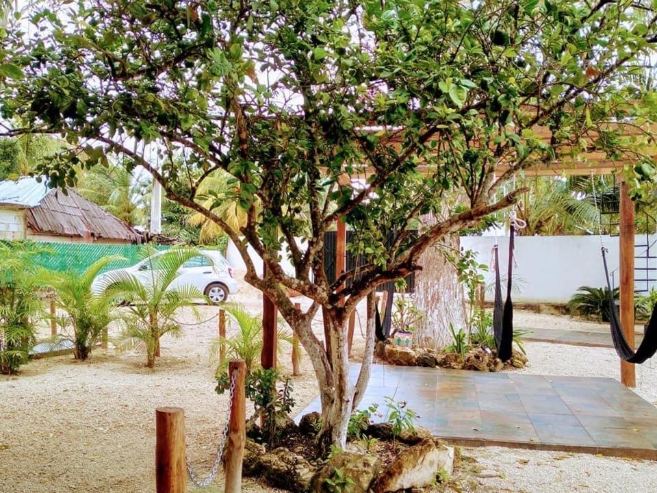 Cedro Rojo Hotel Bacalar Exterior foto